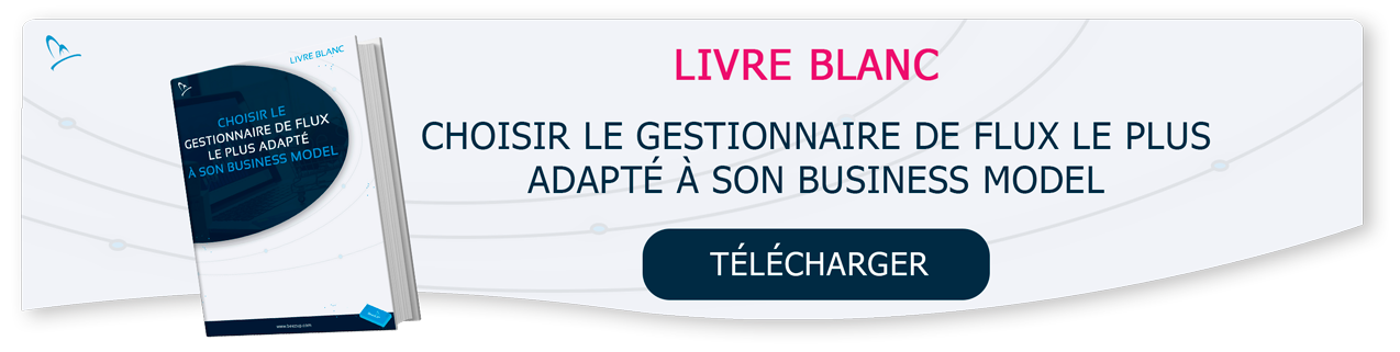 Choisir son gestionnaire de flux e-commerce | BeezUP