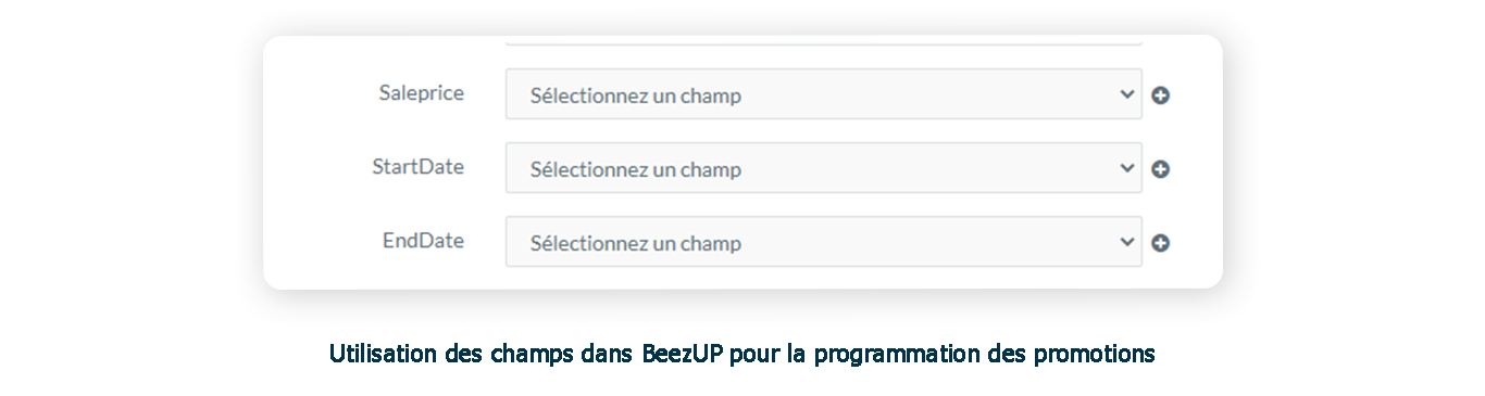 Utilisation des champs dans BeezUP pour la programmation des promotions